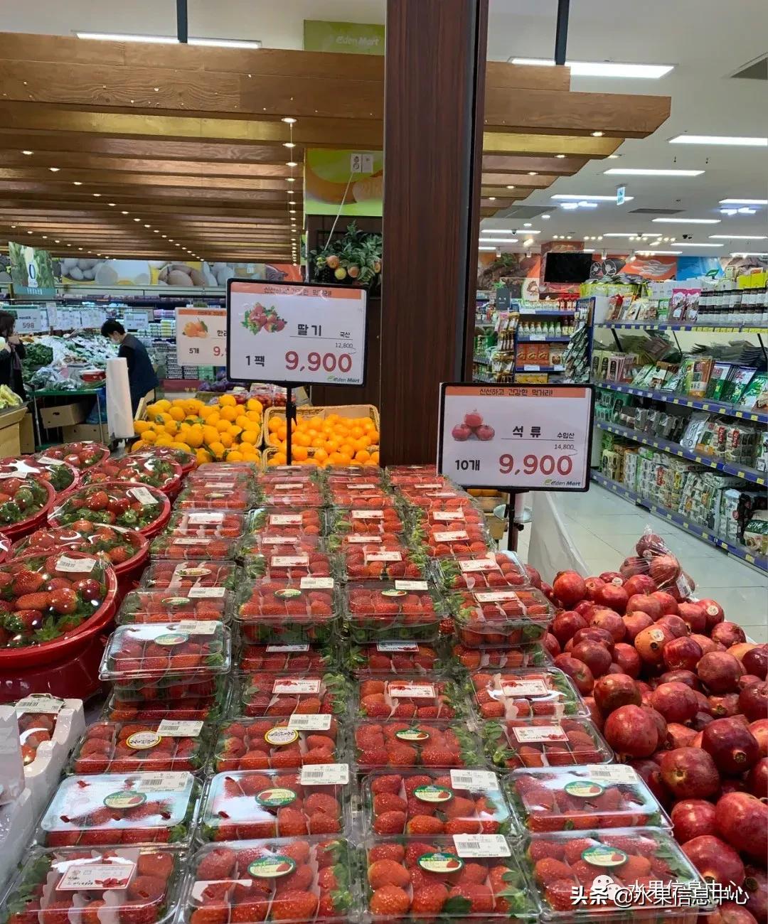 韩国的蔬菜水果批发市场,韩国最便宜的苹果水果