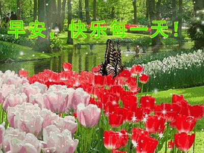 新版早上好问候语动态图片大全,清晨早上好最新问候语动态图片