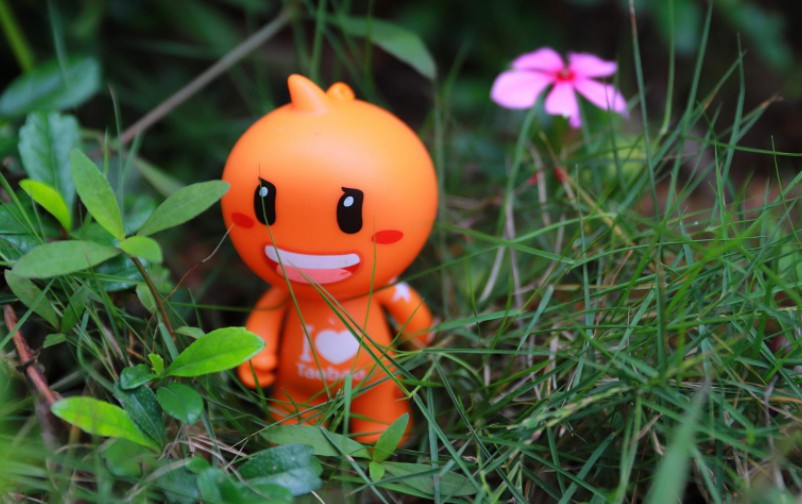 手机淘宝将上线特卖区,手机淘宝改版最新消息