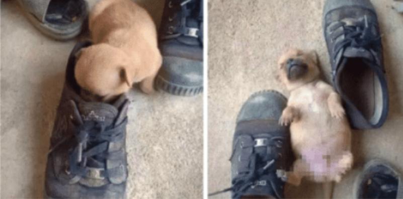 “你太低估了我的脚气，不知道还有没有救？”年轻总要付出代价