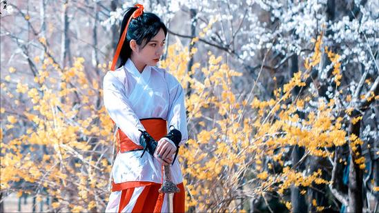 斗破苍穹孙悟空,斗破苍穹最霸气的飞翔之翼