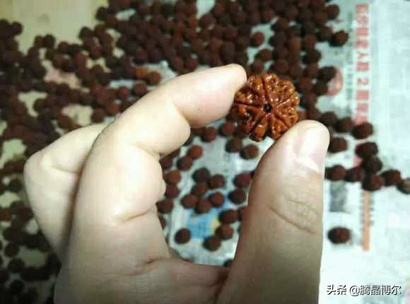 你知道金刚菩提手串怎么盘玩吗？你知道金刚菩提几瓣的最贵吗？