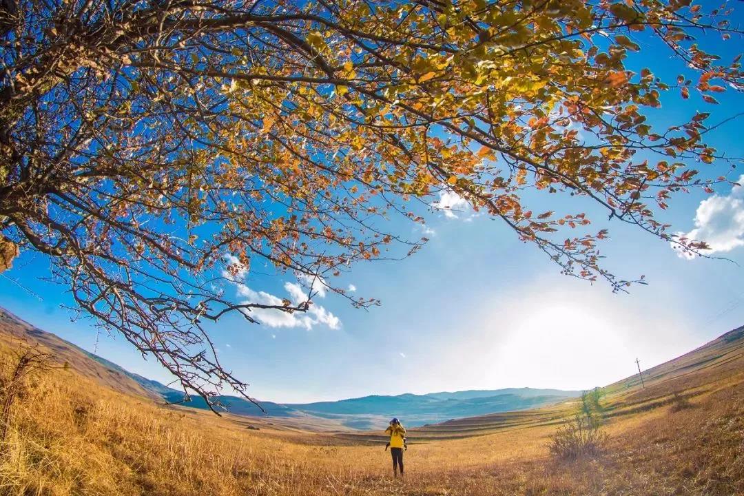 收藏！吐血整理《2019攀枝花大全》，看完秒变“地道”攀枝花人~