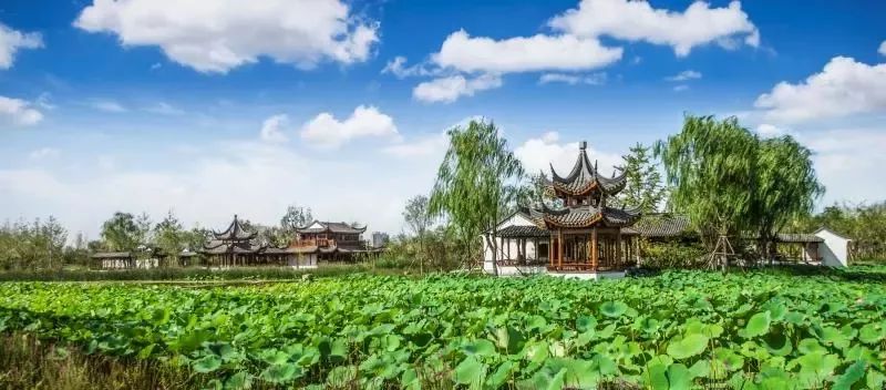 天津国际消费中心建设规划,天津国家会展中心规划