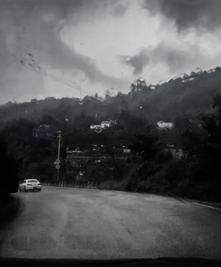 织金皂角米,单荚皂角米