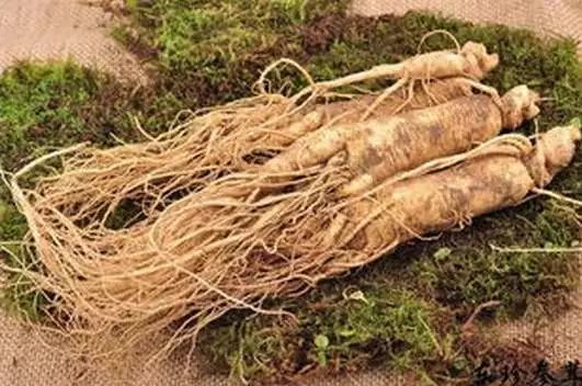 #清风计划#传承创新发展中医药，抚松大自然一直在路上……