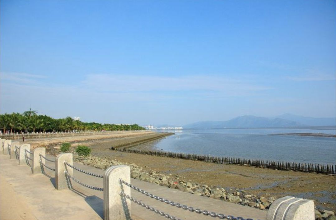 2018深圳马拉松开赛时间,深圳2019南山半程马拉松