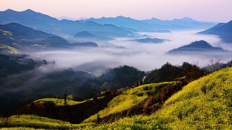 钟智老师（麦高）带您看歙县坡山油菜花
