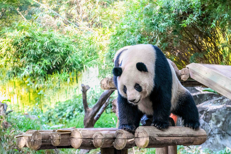 寒假亲子游推荐广东,广东自驾亲子游十大排名