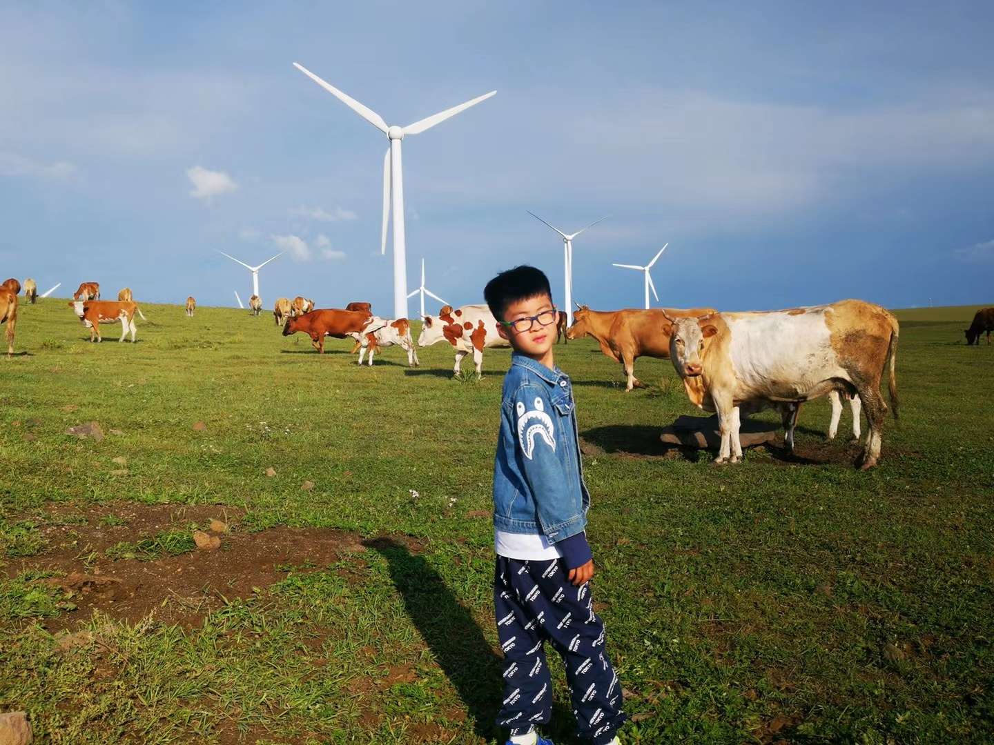 红松洼和乌兰布统哪个好,乌兰布统坝上草原旅游攻略