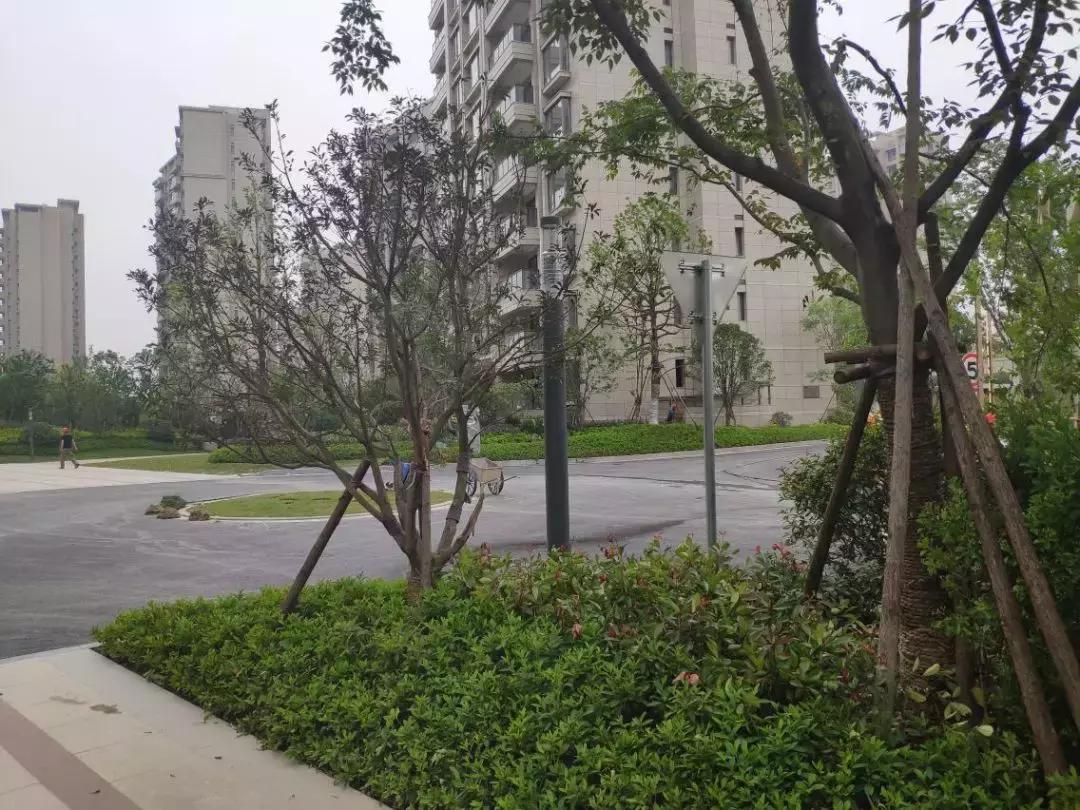 贵阳恒大帝景精装房交付实拍图,恒大帝景三期复工现场