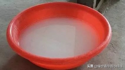 夏天家养猪怎样防病防蚊蝇叮咬,养猪防蚊蝇神器