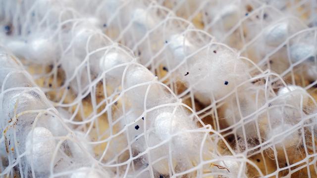 中国最低调小城市,中国最低调小镇