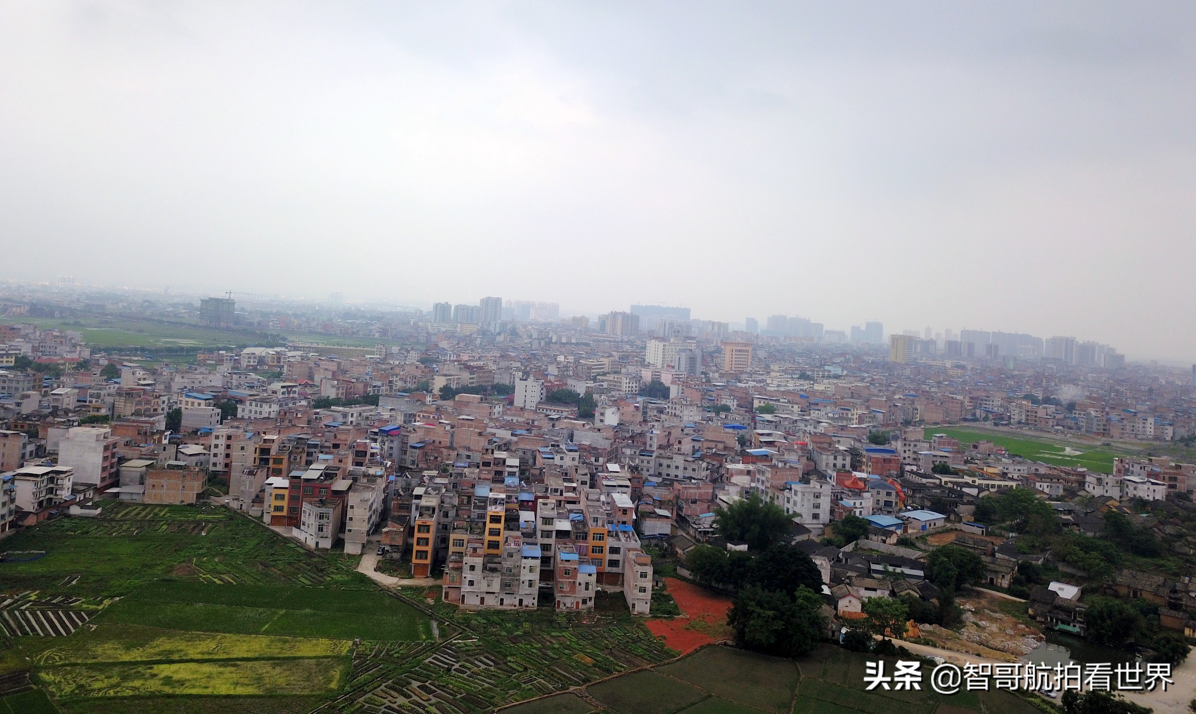 广西宾阳炮龙乡视频,宾阳炮龙之乡新闻