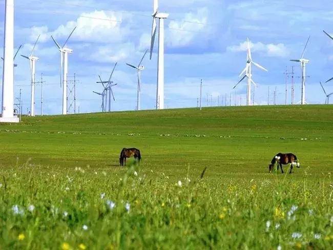 快来报名吧,快来报名吧完整视频