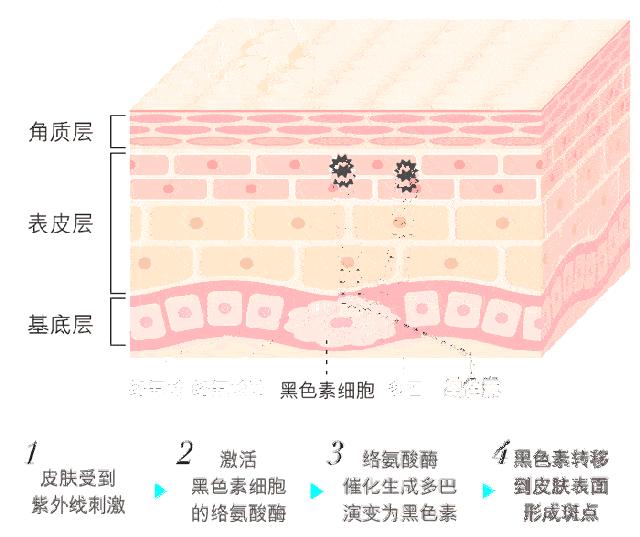 sk2小灯泡用了反而长斑了,sk2小灯泡用了脸反而黑
