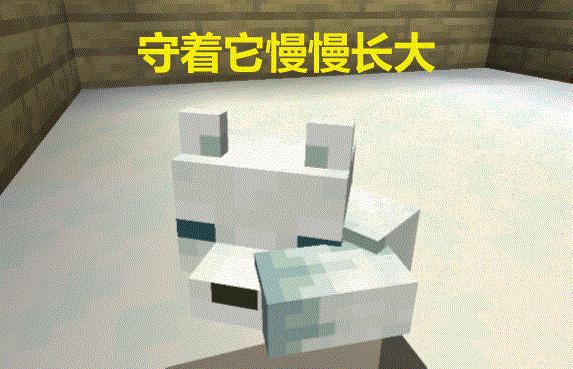 怎样在MC驯服更多动物,在mc里面怎么驯养动物