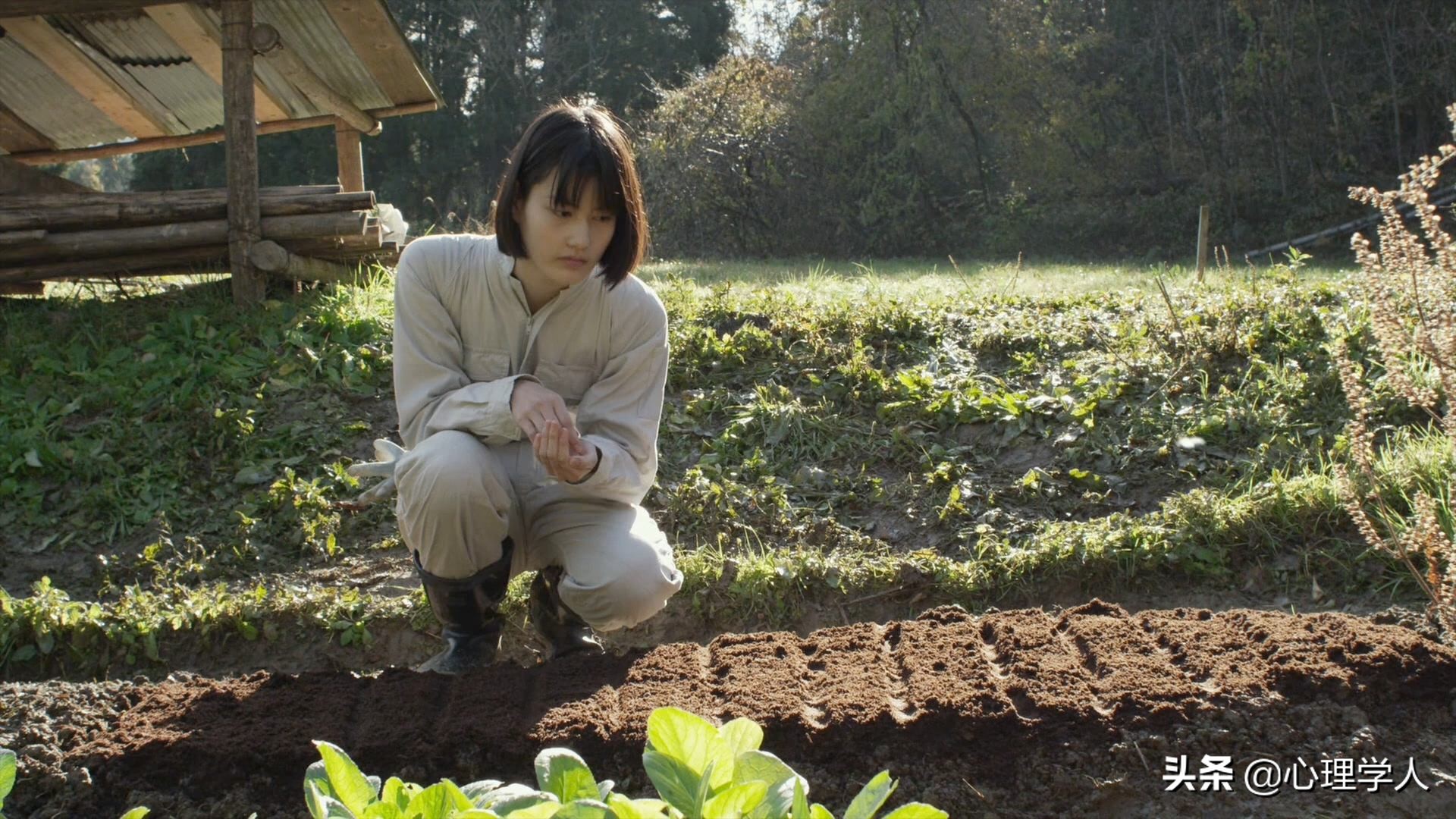 桥本爱在小森林是素颜吗,桥本爱小森林主题曲完整版