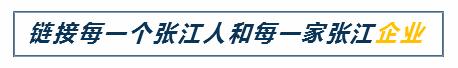 浦东张江创业项目,张江新型创业项目