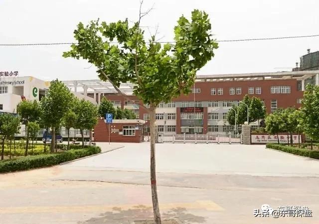 郑州公立小学学校排名,郑州小学实力排名前十名