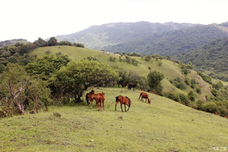 难忘的草原简谱完整版,难忘的草原女声完整版