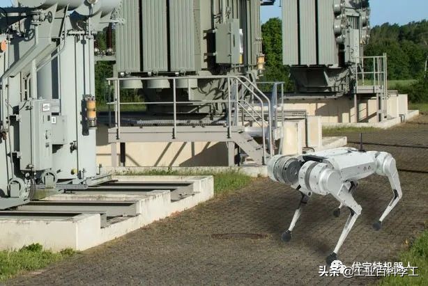 1万8元秋田犬出售,最新一代机器狗