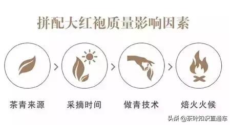 大红袍怎么选,大红袍常识大全