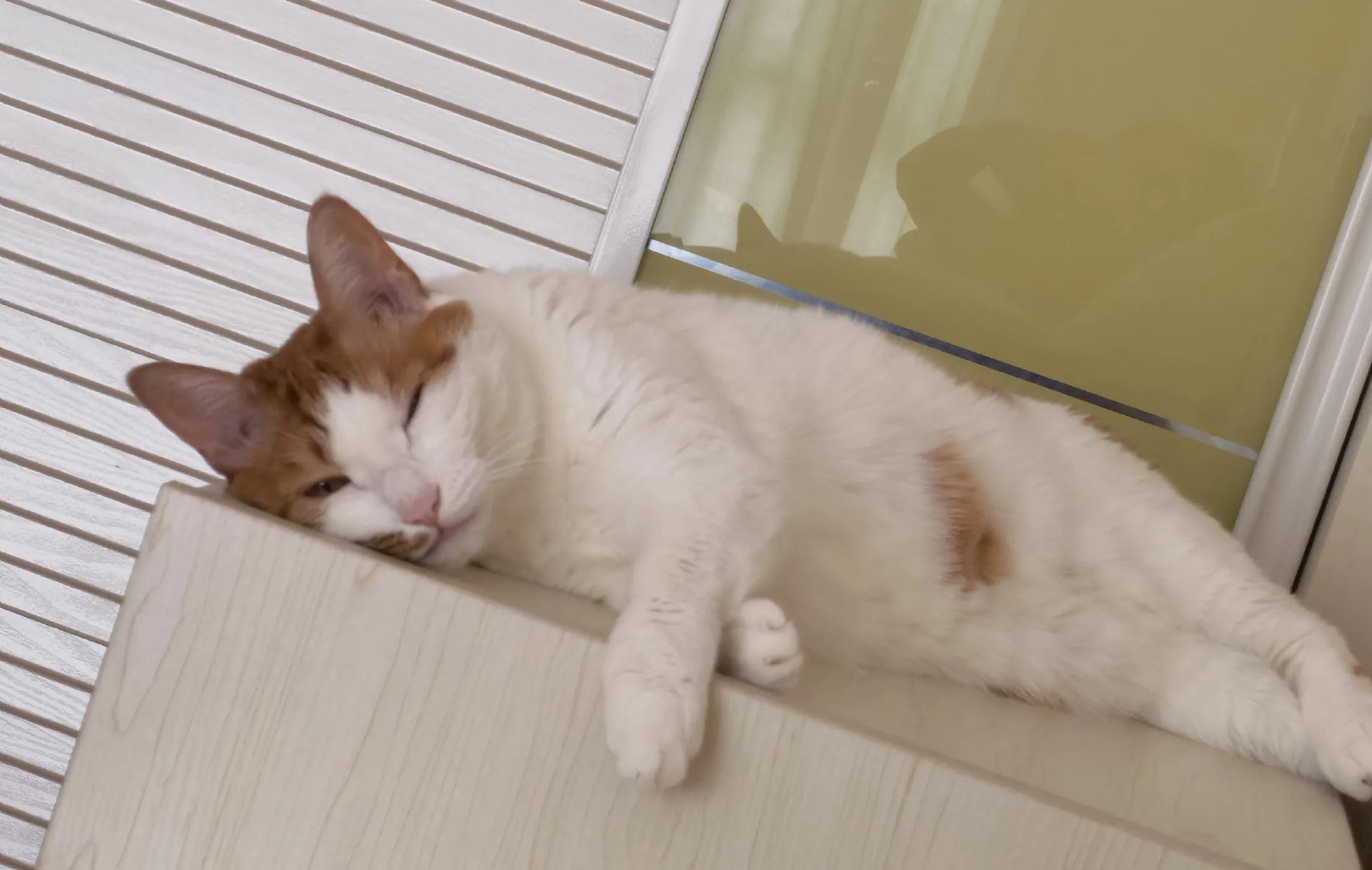 为什么一旦睡不着就很难入睡,一到深夜特别清醒睡不着怎么办