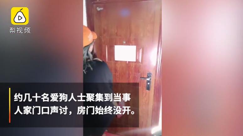 沈阳男女当街扑杀流浪狗,沈阳一男女当街抓狗