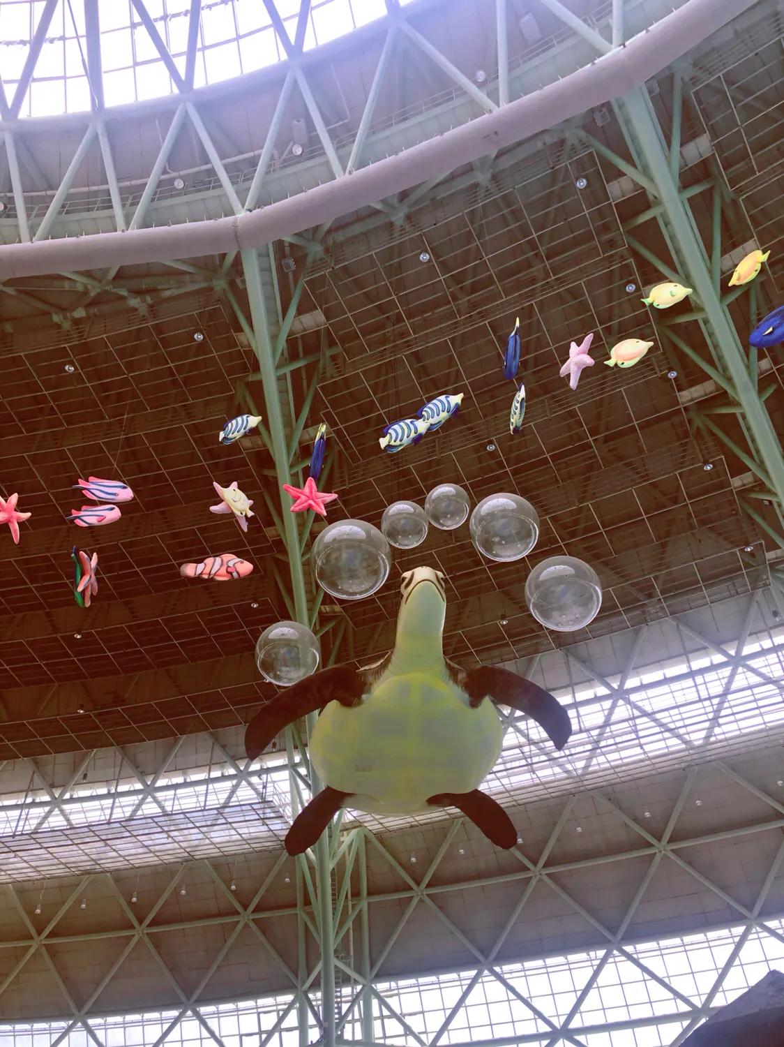 听戏享受这悠闲时光,听戏喝酒自在逍遥