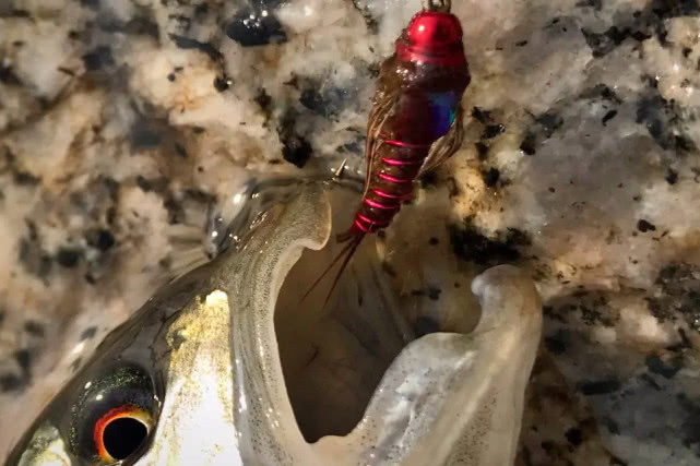 它是一种钓鱼的用具,更像是一件艺术品,国外叫飞绳我们叫毛钩