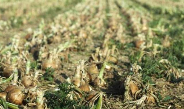 出口转内销的物价会降吗,出口转内销价格表