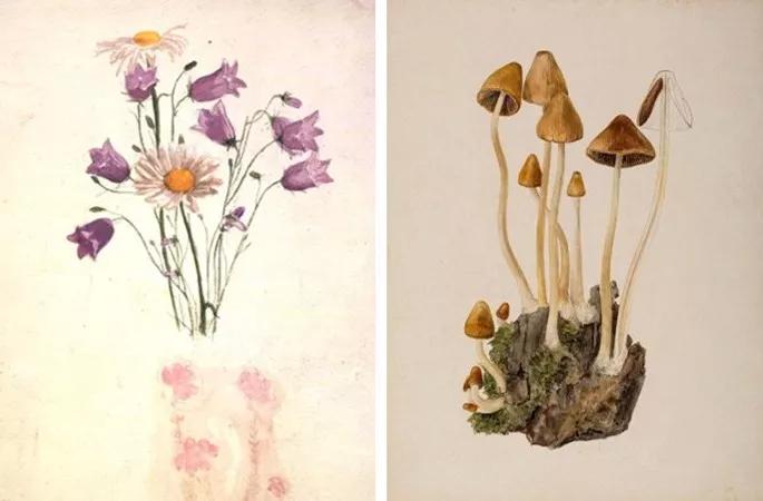 彼得兔的花园该怎么做,彼得兔的花园视频