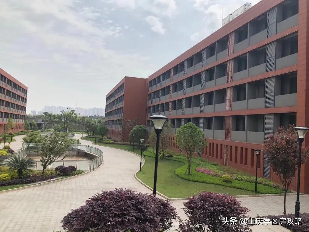 南岸区优质初中,南岸区优质中学