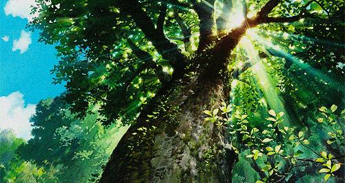 肖战你所期待的夏天是什么样的,肖战你所期待的夏天是什么样子的