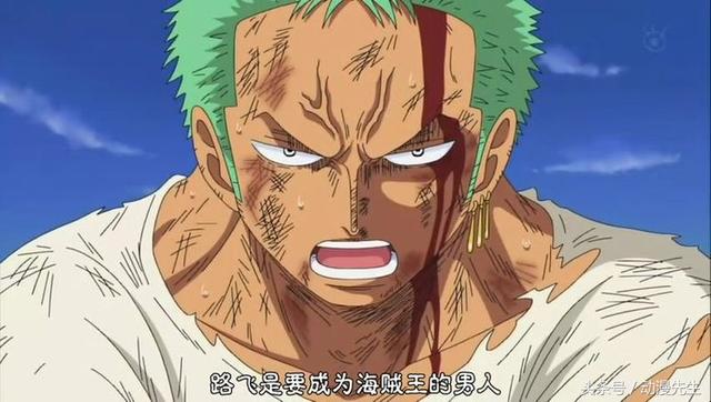 海贼王动画全部章节,海贼王后续剧情目录