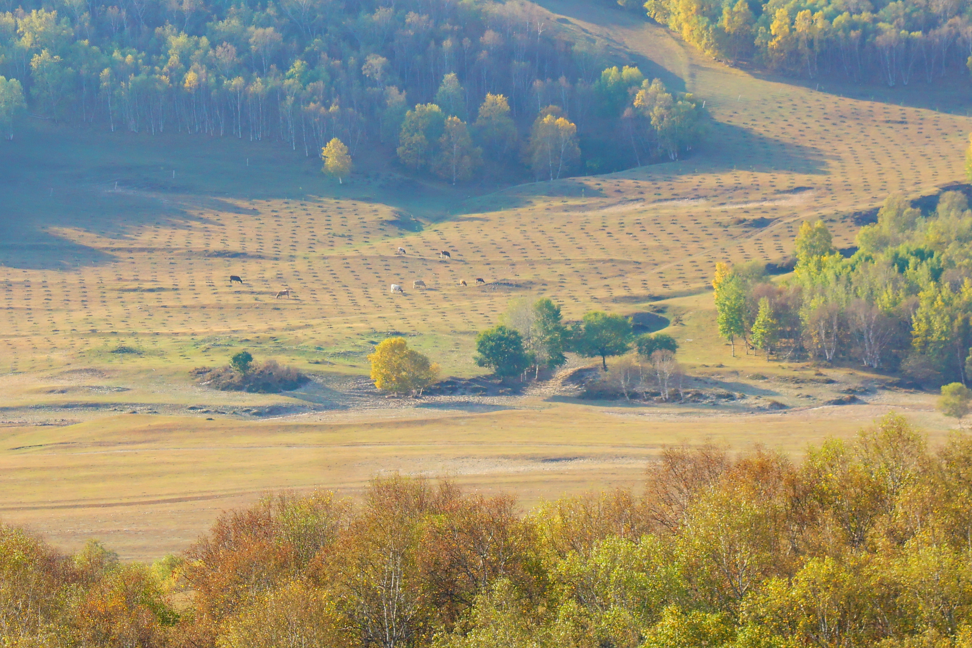 京北第一天路千松坝国家森林公园,千松坝森林公园和京北第一天路