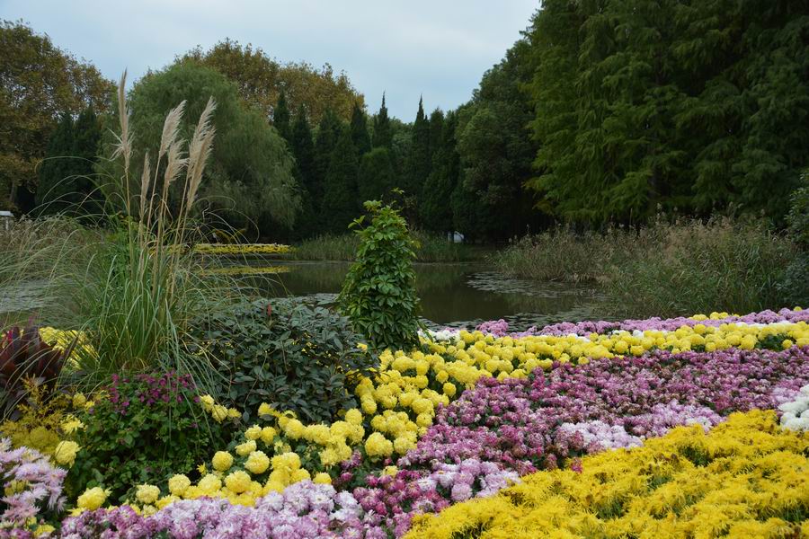 上海吴淞炮台湾湿地森林公园攻略,魔都上海共青森林公园