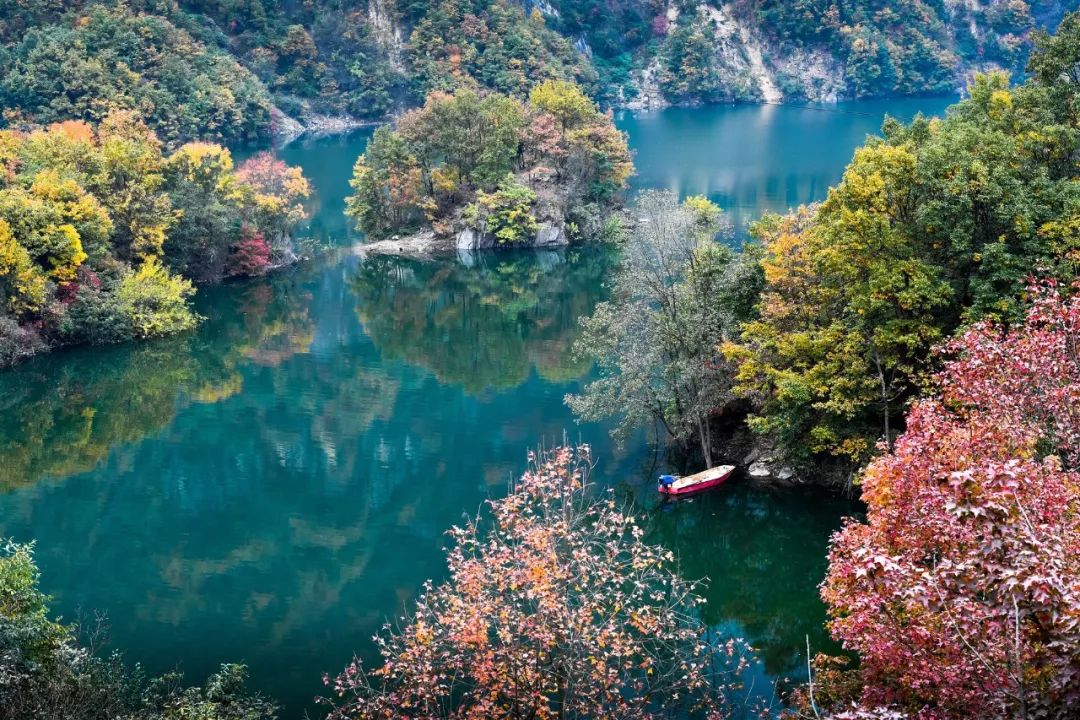 陇南各县城区面积排名,陇南缤纷城