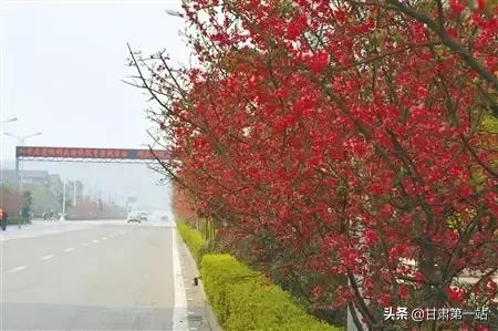 甘肃哪里的姑娘长得最漂亮,甘肃哪里的姑娘好