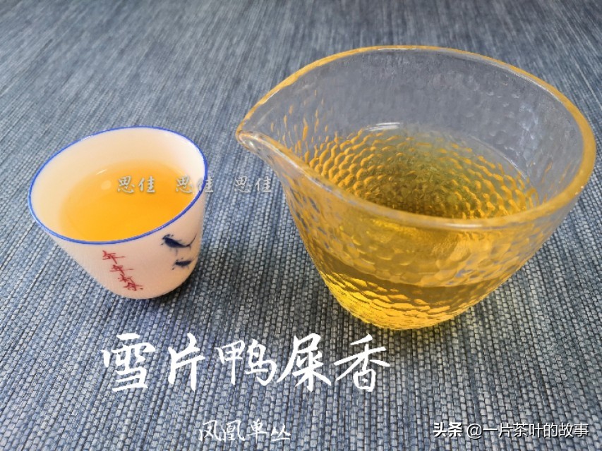 乌龙茶炒茶叶的正确方法和步骤,乌龙茶最合理的制作方法是什么