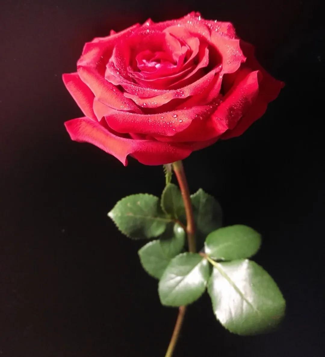 教你如何避开假货买到真品,一张图告诉你怎样分辨假货