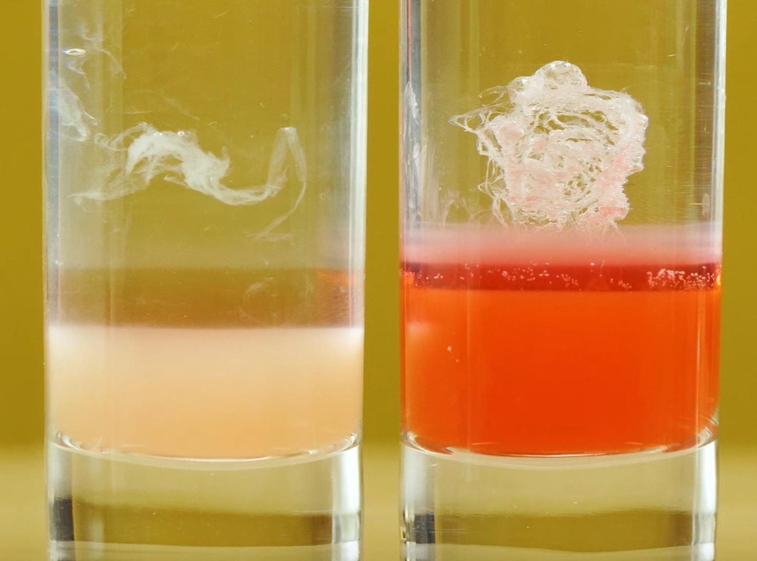 磁珠提取dna的步骤及原理,dna都可以从什么地方提取