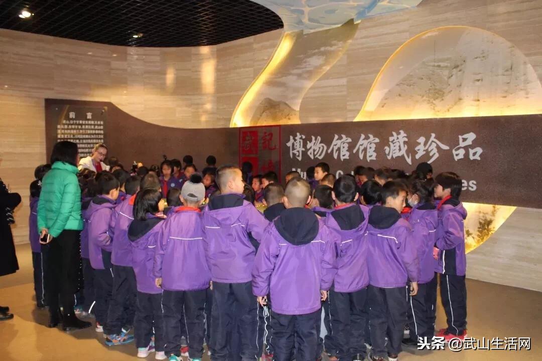 武山县城关三小、四小到县博物馆研学之旅