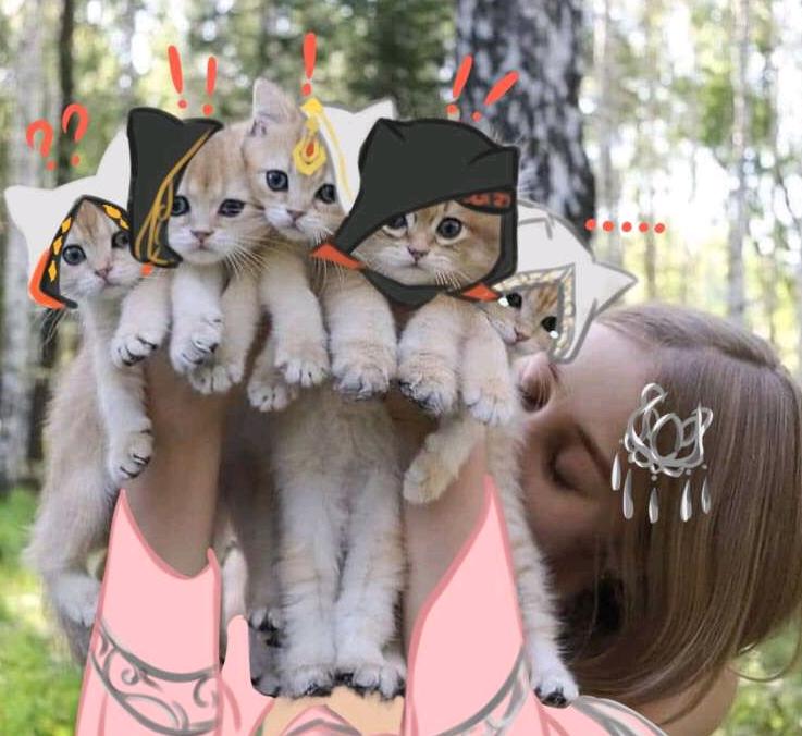 剑网3最多使用几个上品茶饼,苍兰诀鲜花饼做法