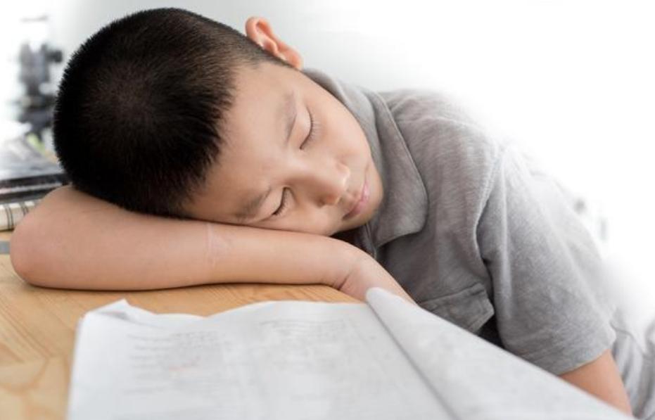 孩子成为书虫怎么办,孩子变成小虫子