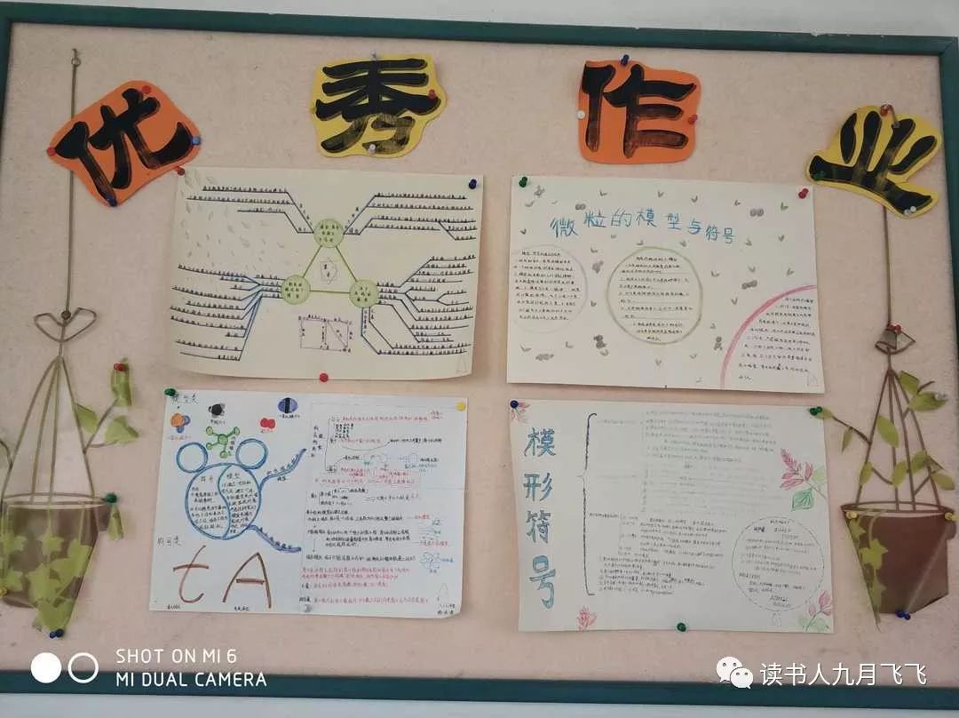 杭州嘉绿苑中学录取率,杭州嘉绿苑中学招生