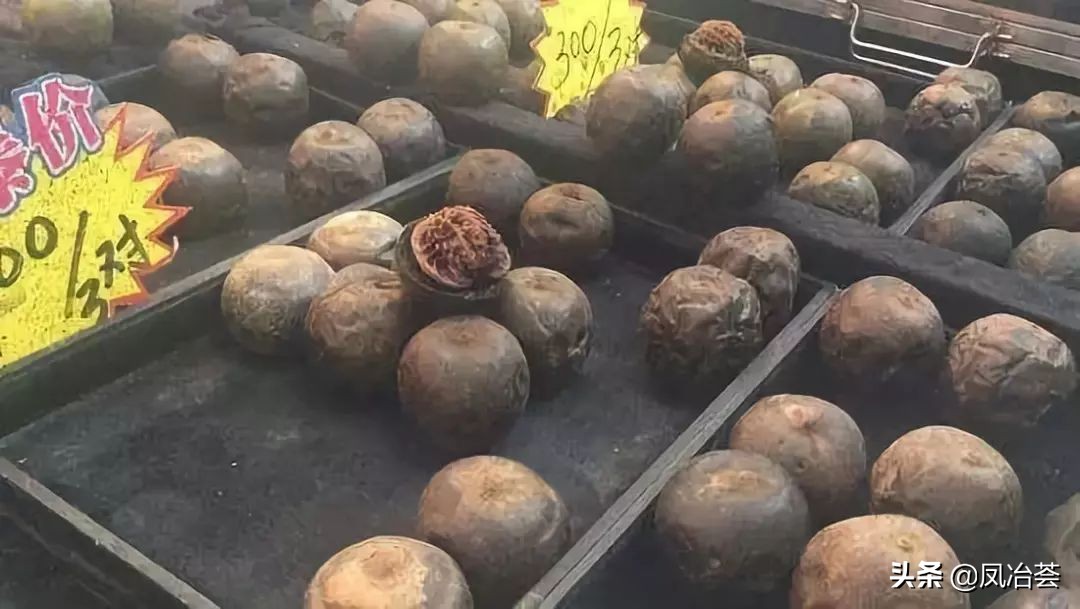 从前车马很慢原句,从前马车很慢一生只够杀一个人