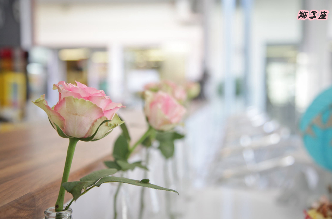 哪个星座男是钢铁直男,12星座中最直男的星座