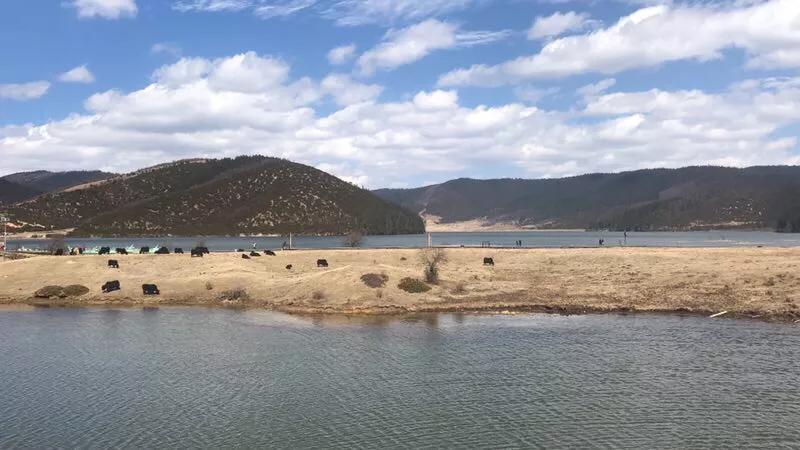 手拍世界,手拍世界作品专集